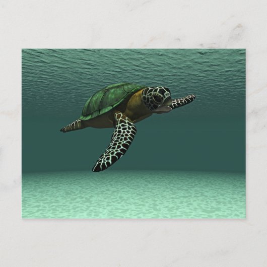 Zee schildpad briefkaart (Voorkant)