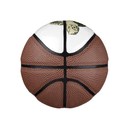 Zee schildpad cartoon basketbal (Rechts)