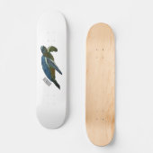 Zee schildpad cartoon persoonlijk skateboard (Voorkant)