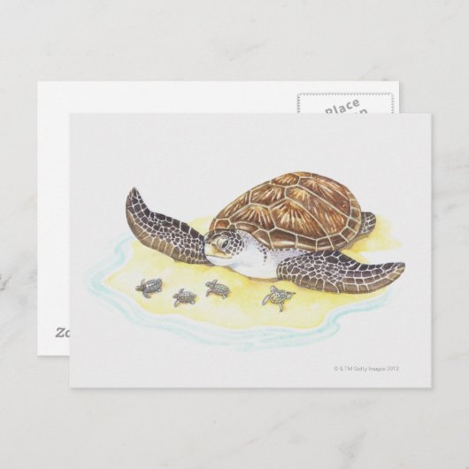 Zee schildpad en baby's briefkaart (Voorkant / Achterkant)