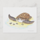 Zee schildpad en baby's briefkaart (Voorkant)