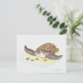 Zee schildpad en baby's briefkaart (Staand voorkant)