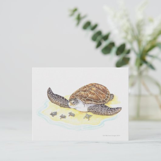 Zee schildpad en baby's briefkaart (Staand voorkant)