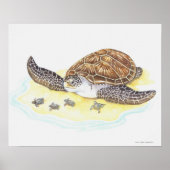 Zee schildpad en baby's poster (Voorkant)