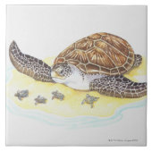 Zee schildpad en baby's tegeltje (Voorkant)