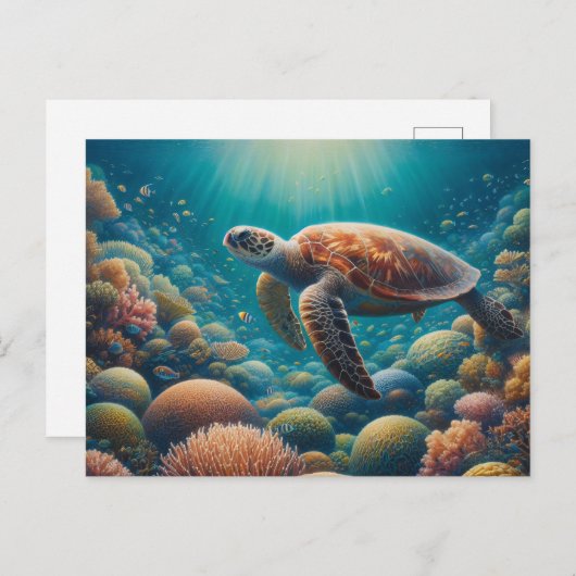 Zee Schildpad en Koraal Briefkaart (Voorkant / Achterkant)