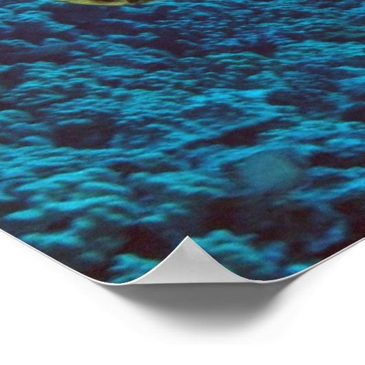 Zee schildpad en vis afdrukken poster (Hoek)