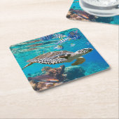 Zee schildpad en vis kartonnen onderzetters (Schuin)