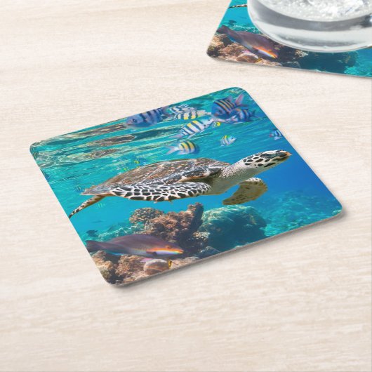 Zee schildpad en vis kartonnen onderzetters (Schuin)