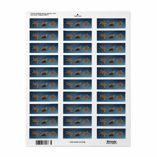 zee schildpad etiket (Full Sheet)