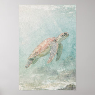 Zee Schildpad in Bleek Blauwgroen Kustwater Poster