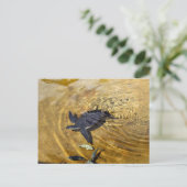 Zee schildpad in het Briefkaart Golden Waters (Staand voorkant)