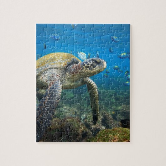 Zee schildpad in lagune Galapagos Legpuzzel (Verticaal)