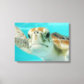 Zee schildpad in Mexicaans waterscanvas met platte Canvas Afdruk (Voorkant)