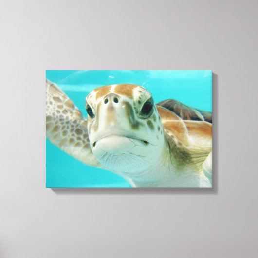 Zee schildpad in Mexicaans waterscanvas met platte Canvas Afdruk (Voorkant)