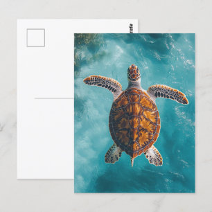 Zee schildpad in turquoise oceaan briefkaart