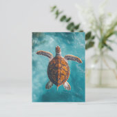 Zee schildpad in turquoise oceaan briefkaart (Staand voorkant)
