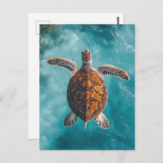 Zee schildpad in turquoise oceaan briefkaart (Voorkant / Achterkant)