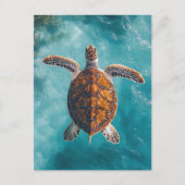 Zee schildpad in turquoise oceaan briefkaart (Voorkant)