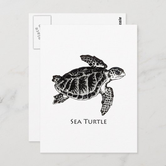 Zee schildpad (Kemp's Ridley) Briefkaart (Voorkant / Achterkant)