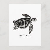 Zee schildpad (Kemp's Ridley) Briefkaart (Voorkant)