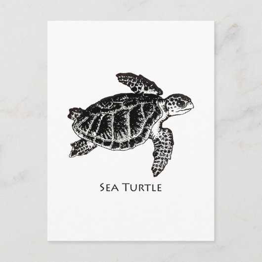 Zee schildpad (Kemp's Ridley) Briefkaart (Voorkant)
