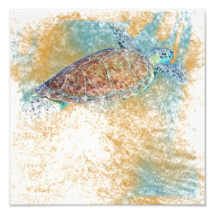 Zee schildpad kunst Kustkunst Foto Afdruk