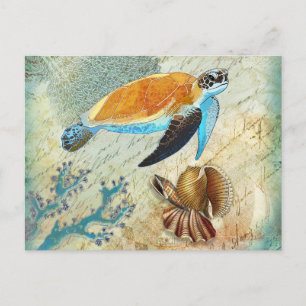 Zee schildpad met zeehondenblauw Briefkaart