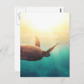 Zee schildpad - Natuur onderwater Fotografie Briefkaart (Voorkant / Achterkant)