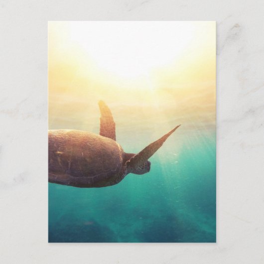 Zee schildpad - Natuur onderwater Fotografie Briefkaart (Voorkant)