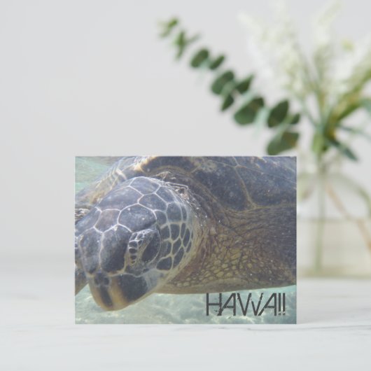 Zee Schildpad onder water briefkaart (Staand voorkant)