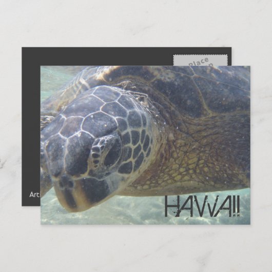 Zee Schildpad onder water briefkaart (Voorkant / Achterkant)