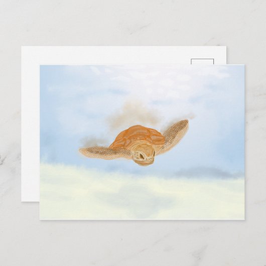 Zee schildpad onder water. briefkaart (Voorkant / Achterkant)