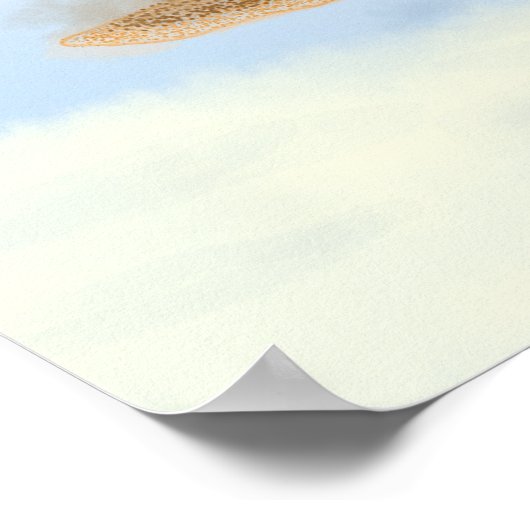 Zee schildpad onder water. poster (Hoek)