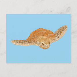 Zee schildpad onder water - transparant. briefkaart