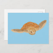 Zee schildpad onder water - transparant. briefkaart (Voorkant / Achterkant)