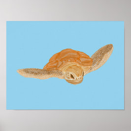 Zee schildpad onder water - transparant. poster
