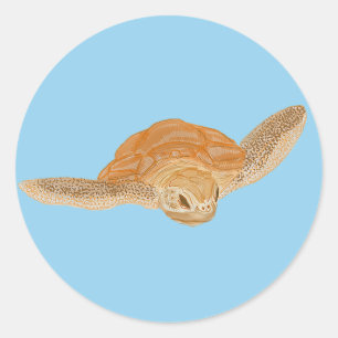 Zee schildpad onder water - transparant. ronde sticker