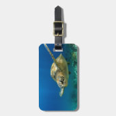 Zee schildpad onderwater bagagelabel (Voorkant verticaal)