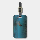 Zee schildpad onderwater Galapagos-eilanden Bagagelabel (Voorkant verticaal)