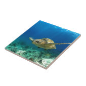 Zee schildpad onderwater tegeltje (Zijkant)