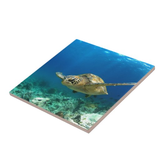 Zee schildpad onderwater tegeltje (Zijkant)