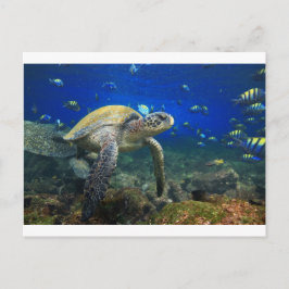 Zee schildpad onderwater tropische oceaan briefkaart