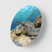 Zee schildpad ontspannend onder water in de tropis ronde klok (Hoek)