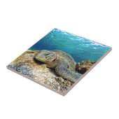 Zee schildpad ontspannend onder water in de tropis tegeltje (Zijkant)