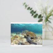 Zee schildpad ontspannend onderwater in tropische  briefkaart (Staand voorkant)
