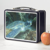 Zee Schildpad op de zeebodem Foto (In situ)