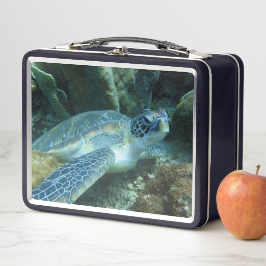 Zee Schildpad op de zeebodem Foto (In situ)