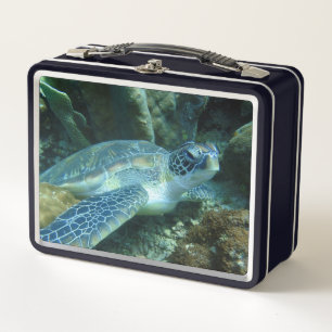 Zee Schildpad op de zeebodem Foto