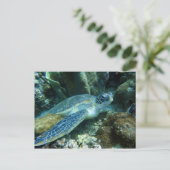 Zee Schildpad op de zeebodem Foto Briefkaart (Staand voorkant)